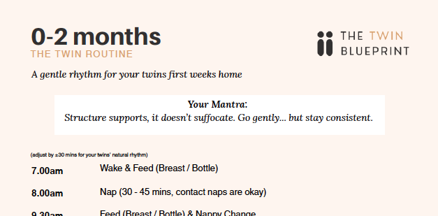 0–2 Month Twins Routine Fridge Card | Daily Schedule for Twin Babies